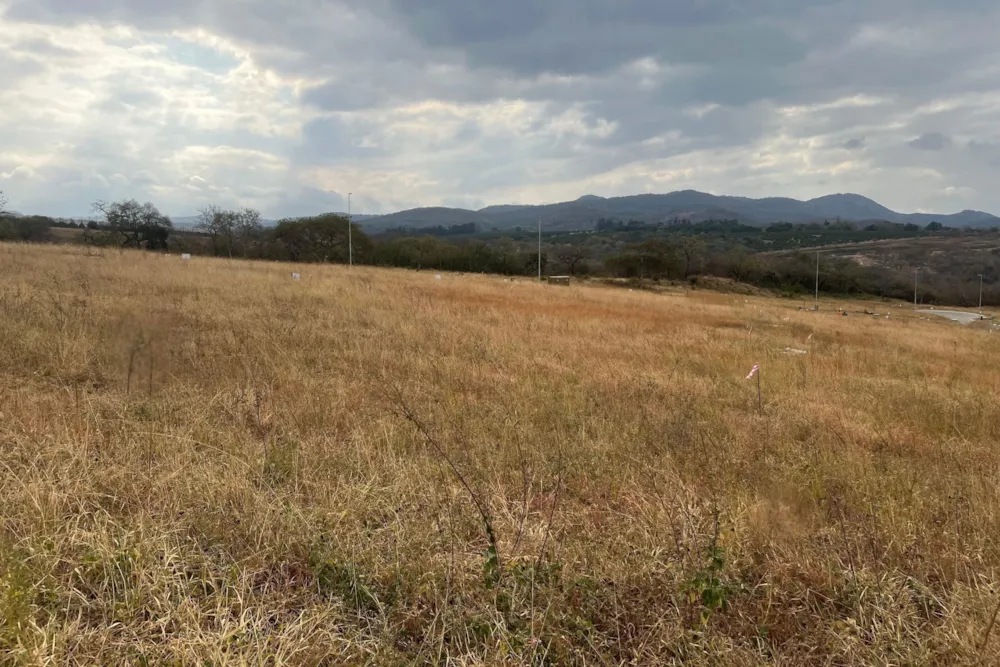 Residential vacant land for sale in Kamagugu - 1NS1710265 Residential vacant land for sale in Kamagugu - 1NS1710265
