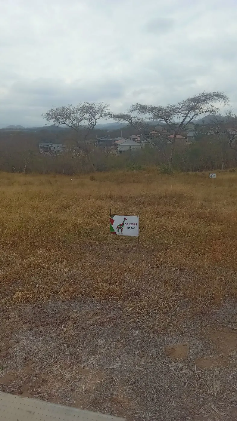Vacant land for sale in Kamagugu - 1NS1710295 Vacant land for sale in Kamagugu - 1NS1710295