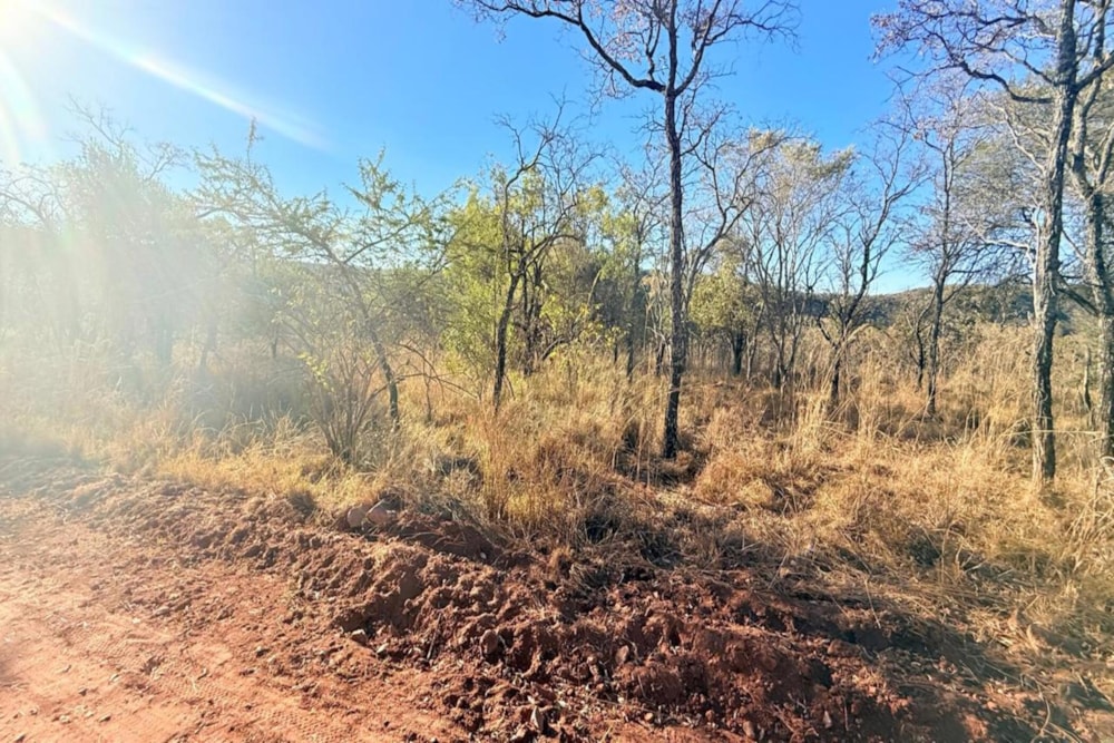Vacant land for sale in Middelburg (Mpumalanga) - 1MD1710357