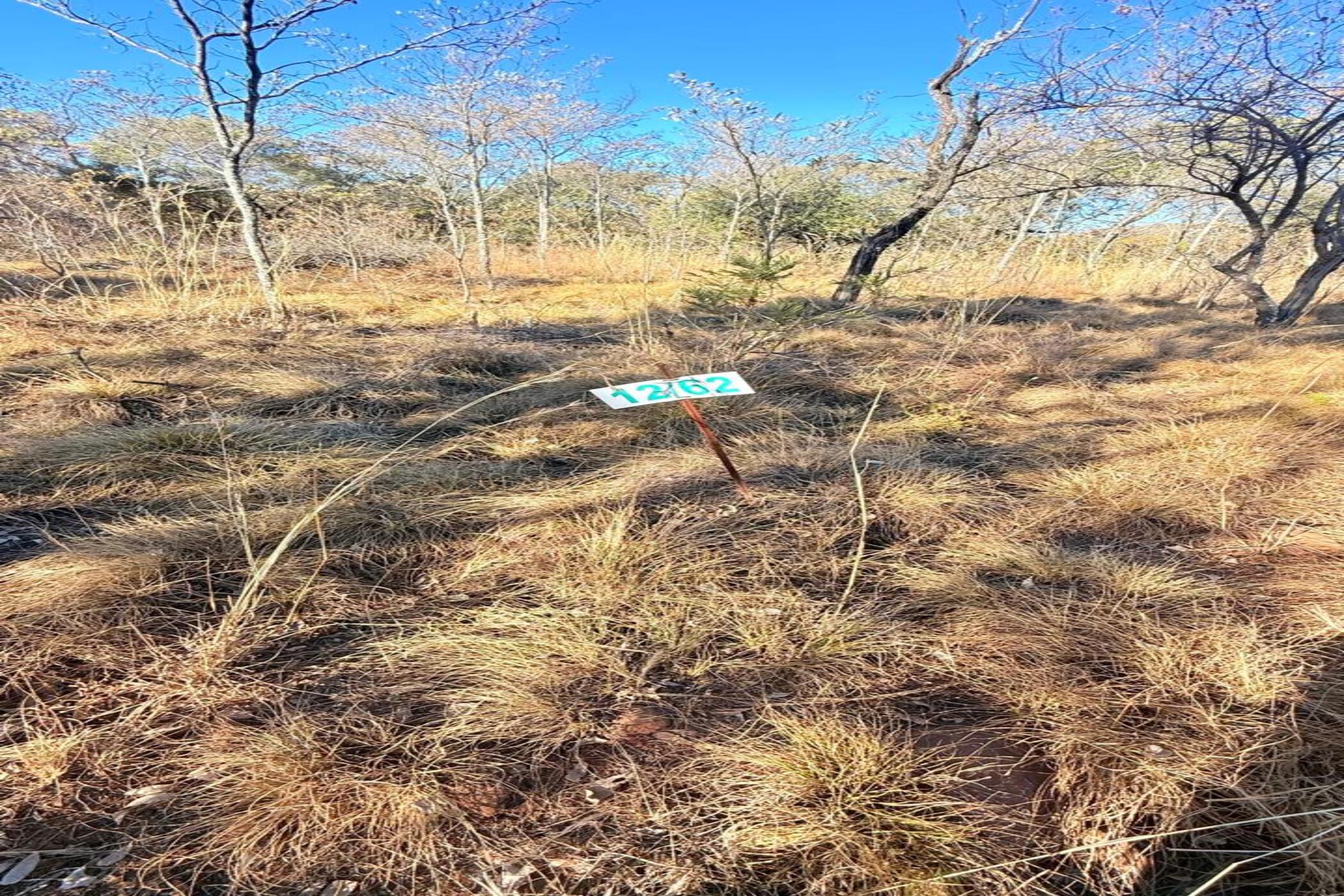 Vacant land for sale in Middelburg (Mpumalanga) - 1MD1710357