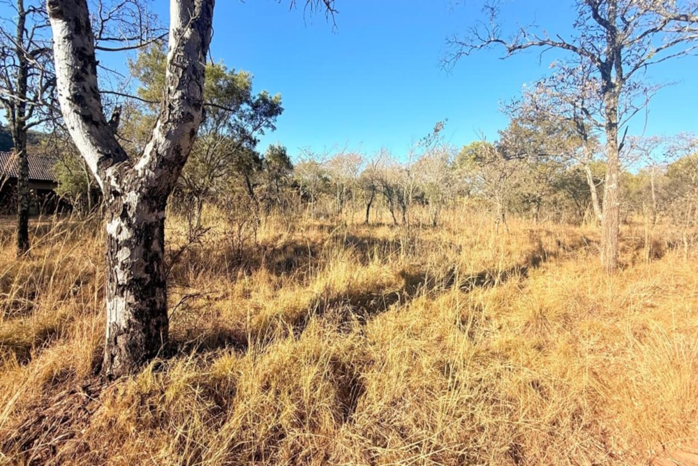 Vacant land for sale in Middelburg (Mpumalanga) - 1MD1710357
