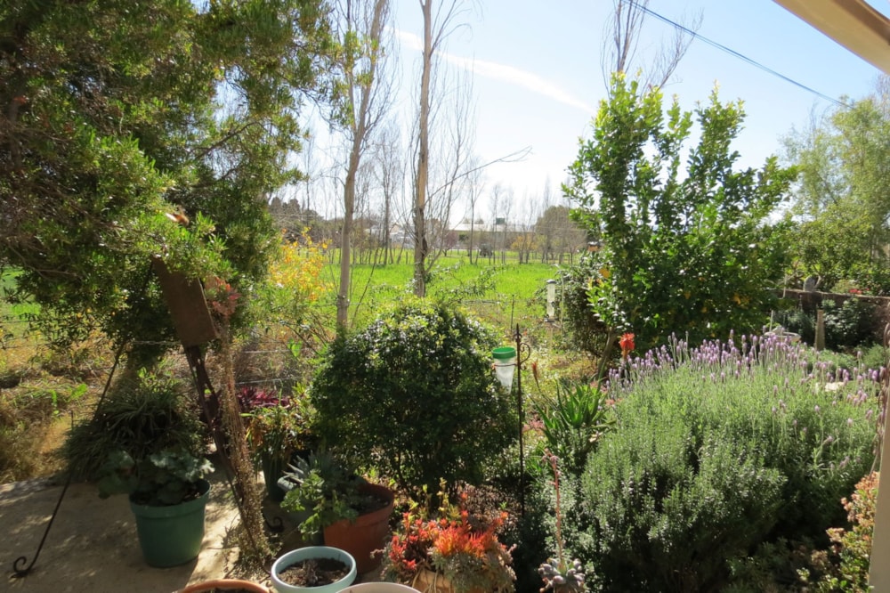 House for sale in Prince Albert - 1KK1710536 House for sale in Prince Albert - 1KK1710536