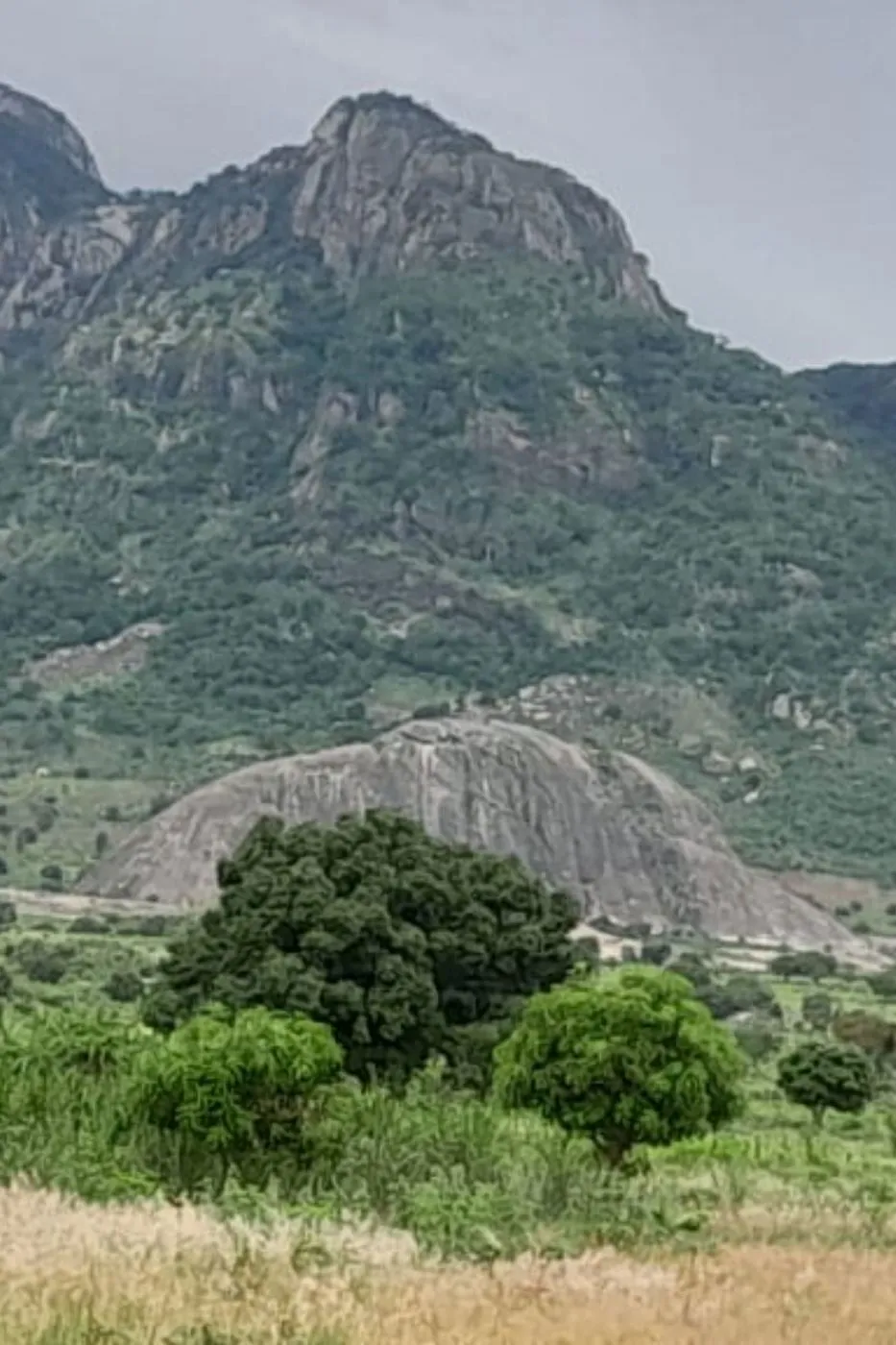 Farm vacant land for investment in Nampula, Nampula, Mozambique - 3MQ1710498