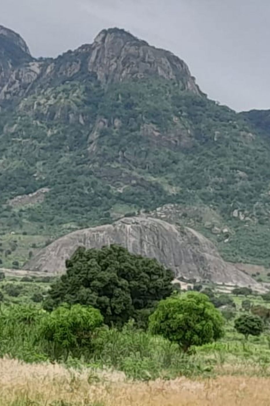 Farm vacant land for investment in Nampula, Nampula, Mozambique - 3MQ1710498