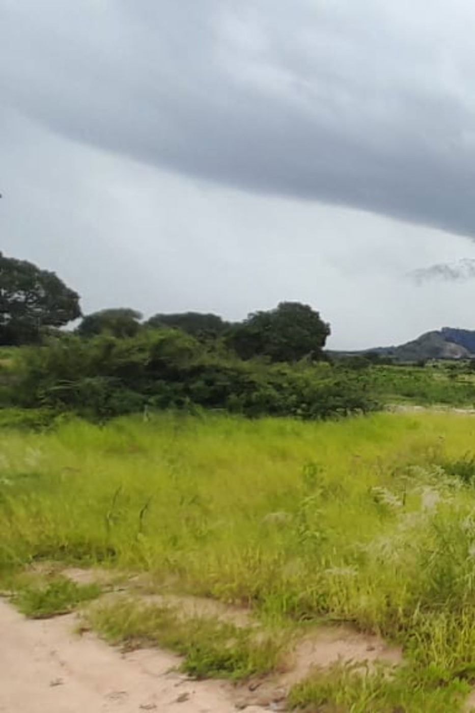 Farm vacant land for investment in Nampula, Nampula, Mozambique - 3MQ1710498