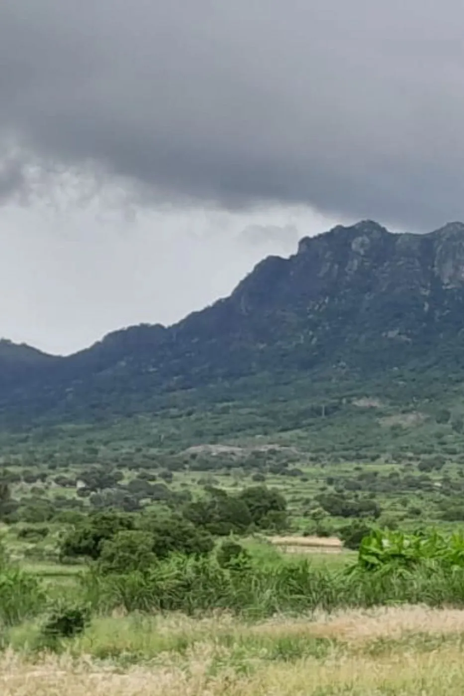 Farm vacant land for investment in Nampula, Nampula, Mozambique - 3MQ1710498