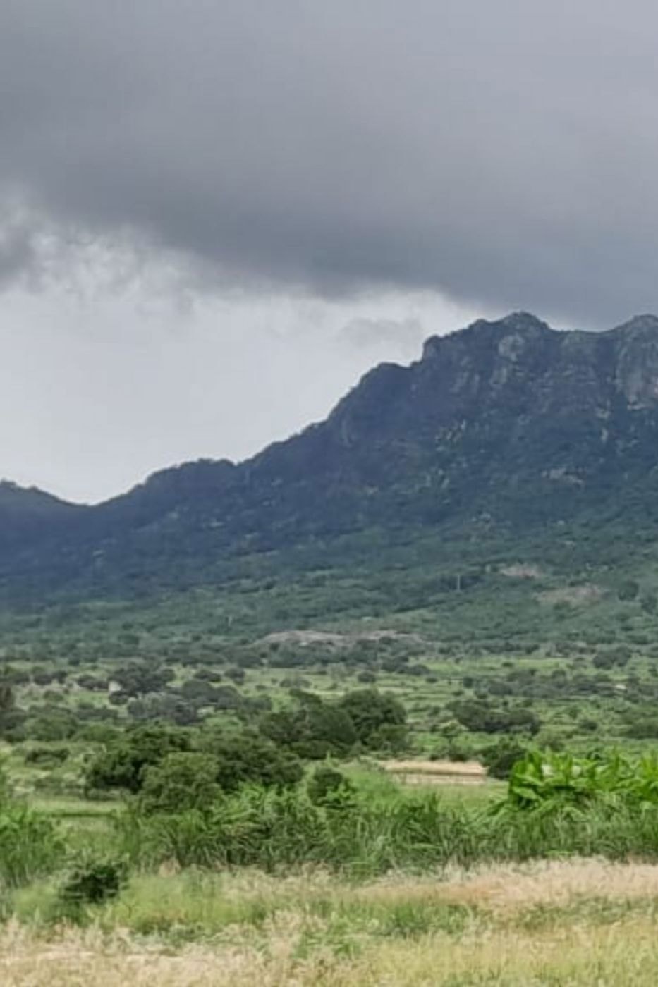 Farm vacant land for investment in Nampula, Nampula, Mozambique - 3MQ1710498