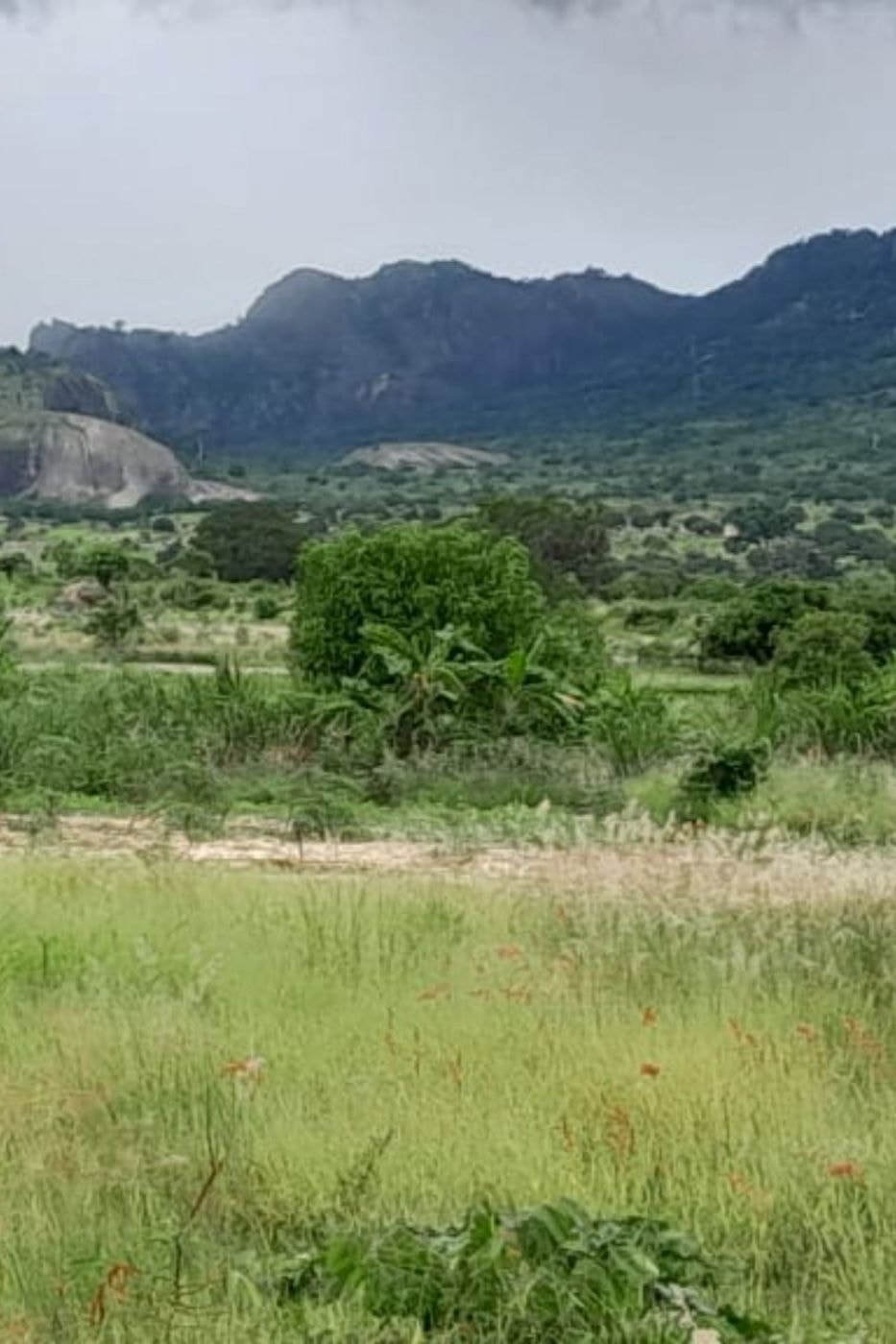 Farm vacant land for investment in Nampula, Nampula, Mozambique - 3MQ1710498