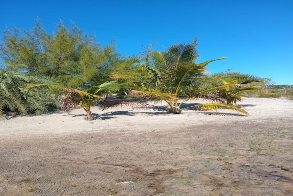Vacant land for investment in Praia do Bilene, Gaza, Mozambique - 3MQ1710704 Vacant land for investment in Praia do Bilene, Gaza, Mozambique - 3MQ1710704