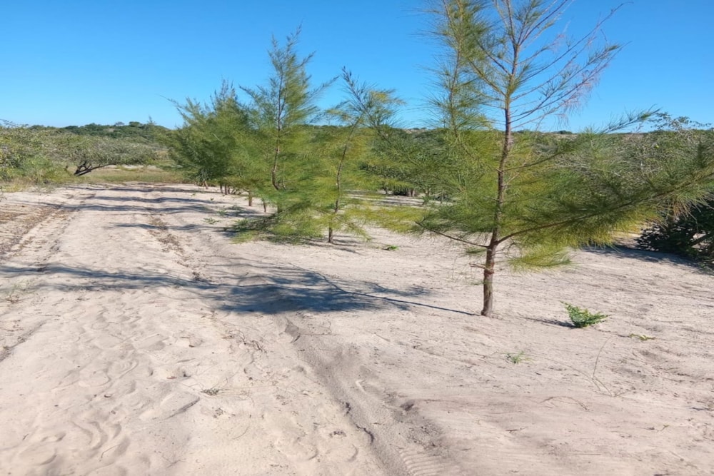 Vacant land for investment in Praia do Bilene, Gaza, Mozambique - 3MQ1710704 Vacant land for investment in Praia do Bilene, Gaza, Mozambique - 3MQ1710704