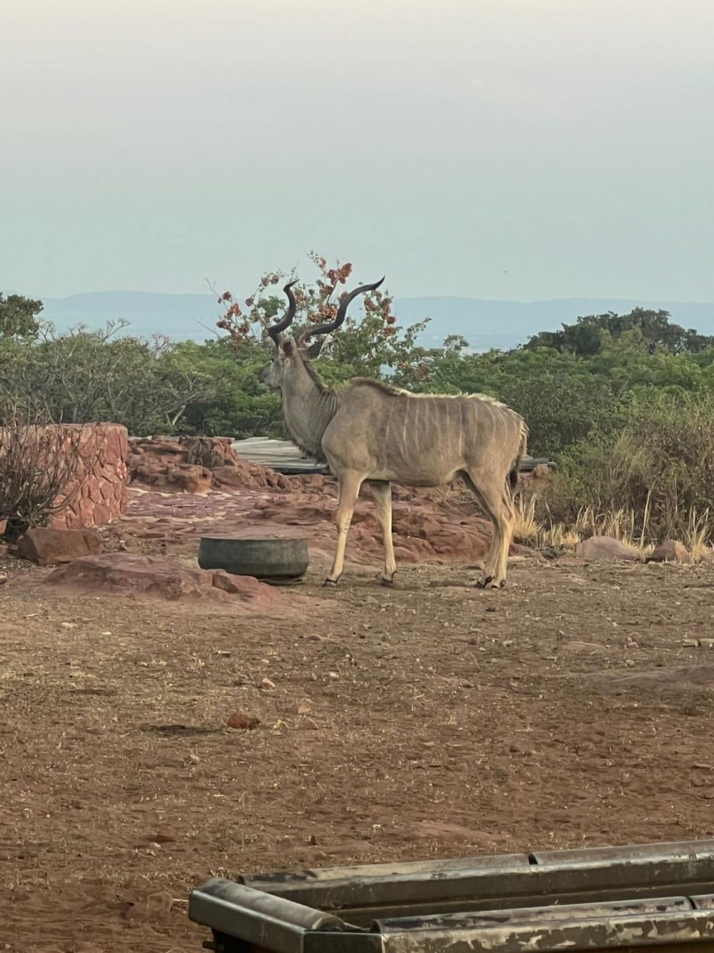 Game farm for sale in Modimolle Rural - 1MDM1710676