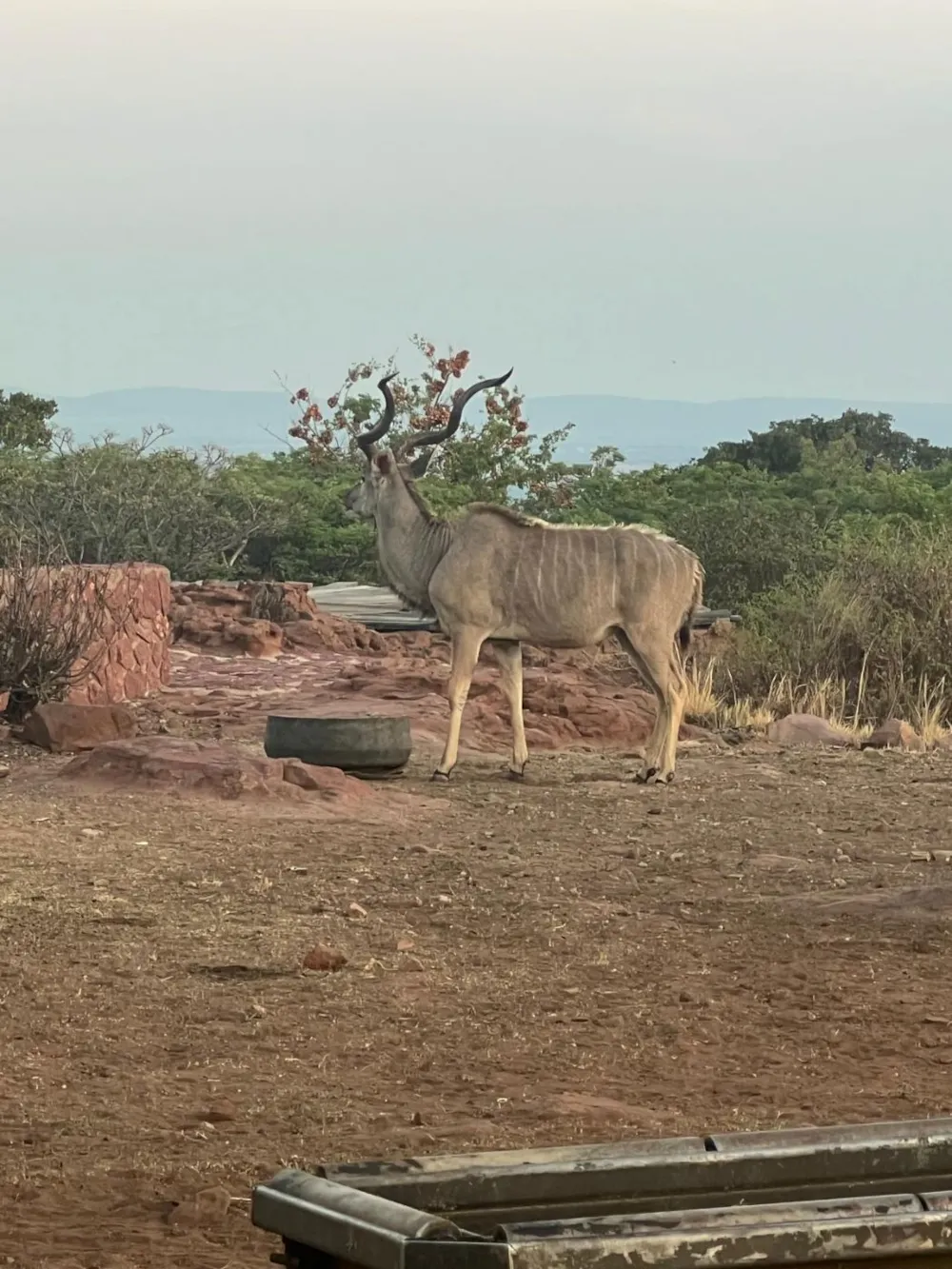 Game farm for sale in Modimolle Rural - 1MDM1710676 Game farm for sale in Modimolle Rural - 1MDM1710676