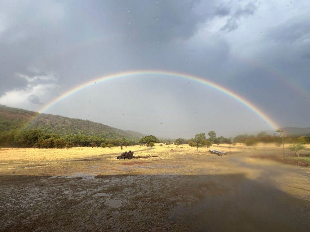 Game farm for sale in Modimolle Rural - 1MDM1710676