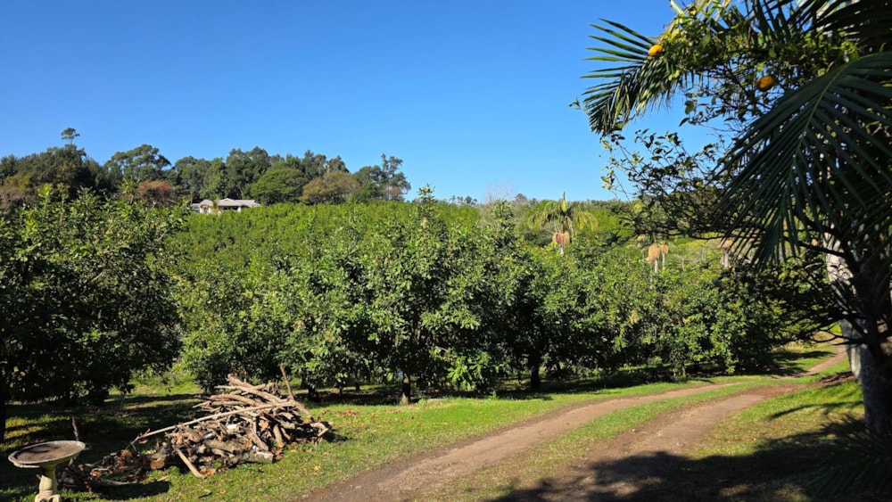 Smallholding for sale in Banners Rest - 1PD1710692 Smallholding for sale in Banners Rest - 1PD1710692