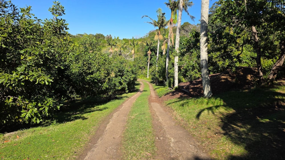 Smallholding for sale in Banners Rest - 1PD1710692 Smallholding for sale in Banners Rest - 1PD1710692