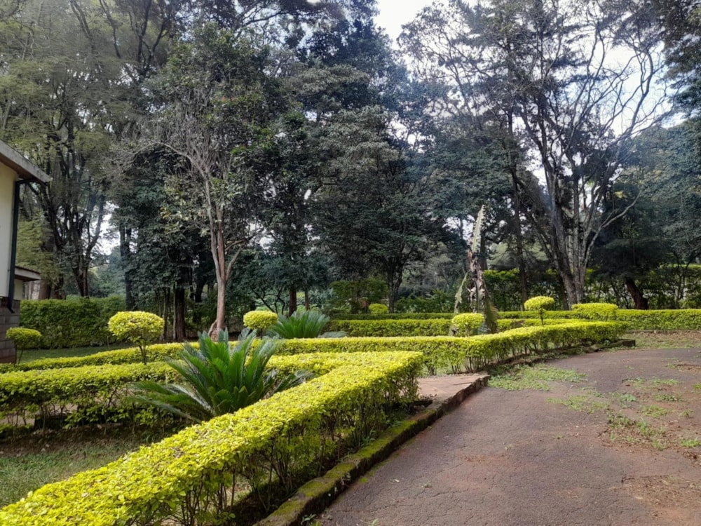 House to rent in Karen, Kenya - 3KE1711508 House to rent in Karen, Kenya - 3KE1711508