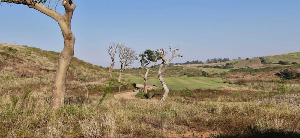 Vacant land for sale in Zimbali Lakes Resort - 1BD1710908