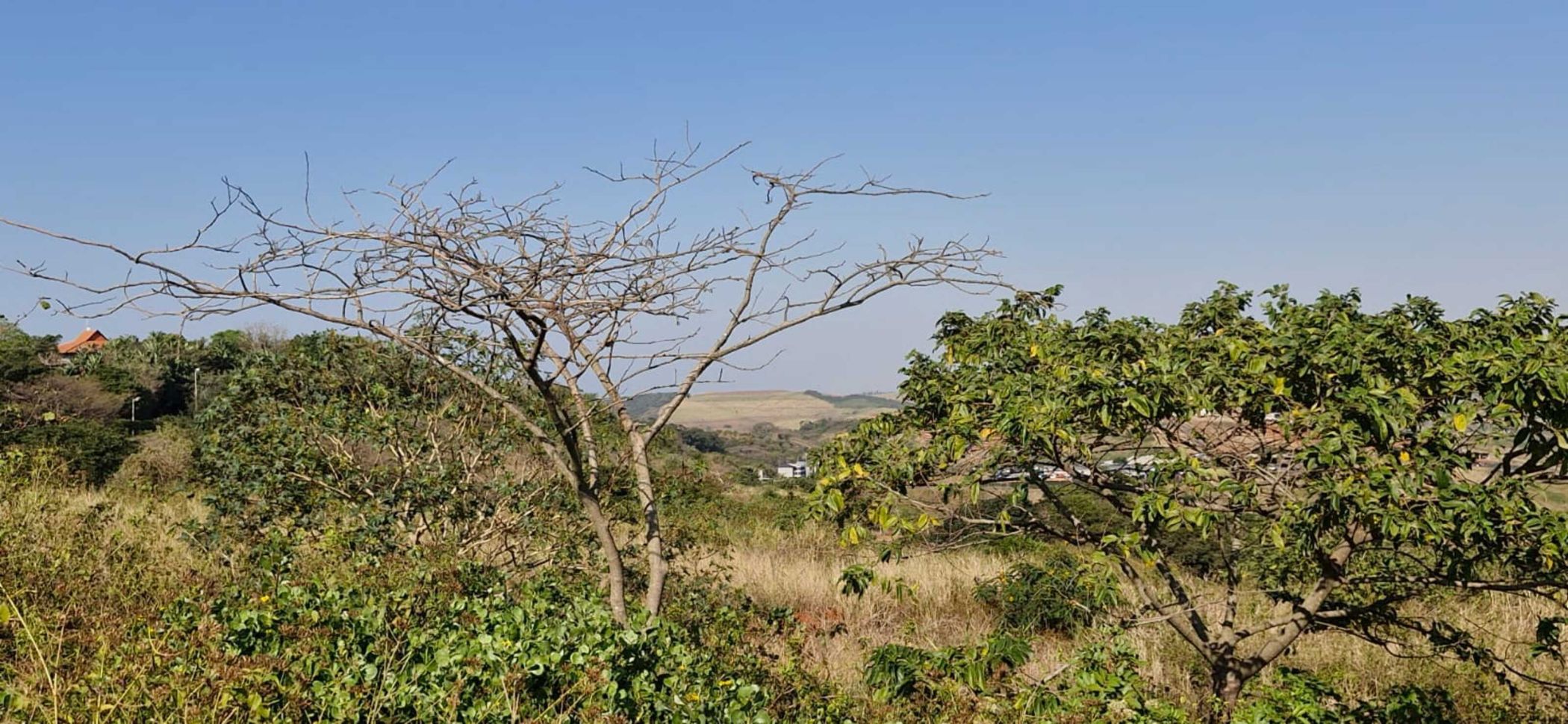 Vacant land for sale in Zimbali Lakes Resort - 1BD1710921