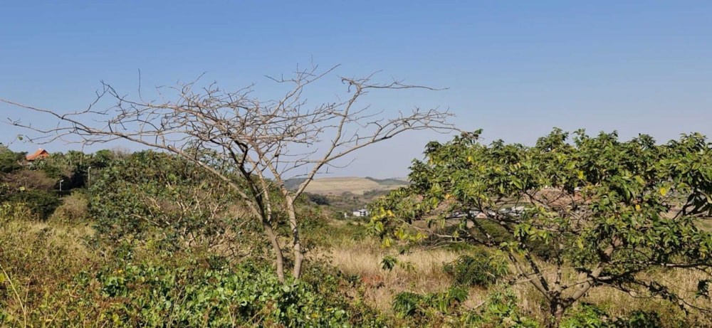 Vacant land for sale in Zimbali Lakes Resort - 1BD1710921