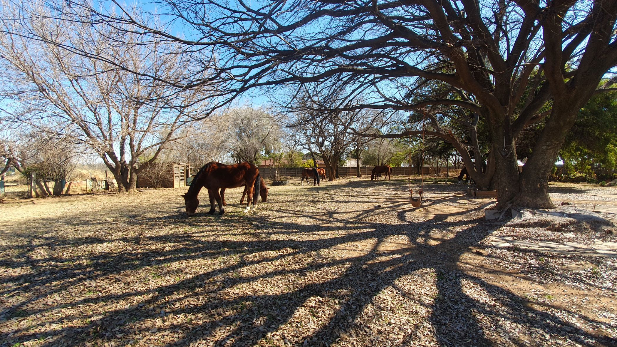 Smallholding for sale in Northdene, Vanderbijlpark - 1VT1711155