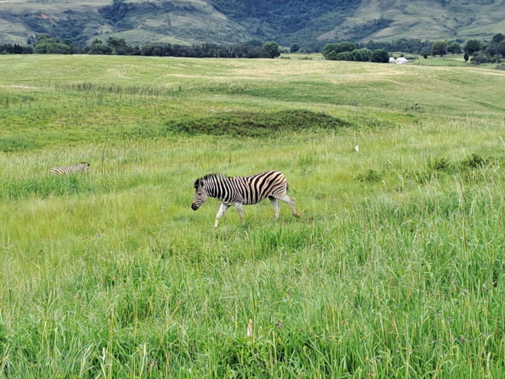 Vacant land for sale in Cathkin Park - 1PM1710993