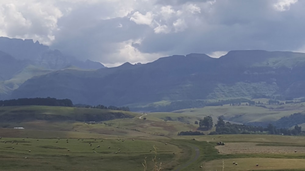 Vacant land for sale in Cathkin Park - 1PM1710993