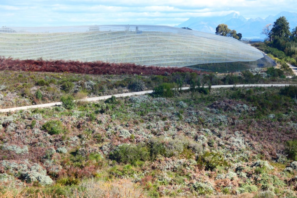 Irrigation farm for sale in Sedgefield Rural - 1SH1711014 Irrigation farm for sale in Sedgefield Rural - 1SH1711014