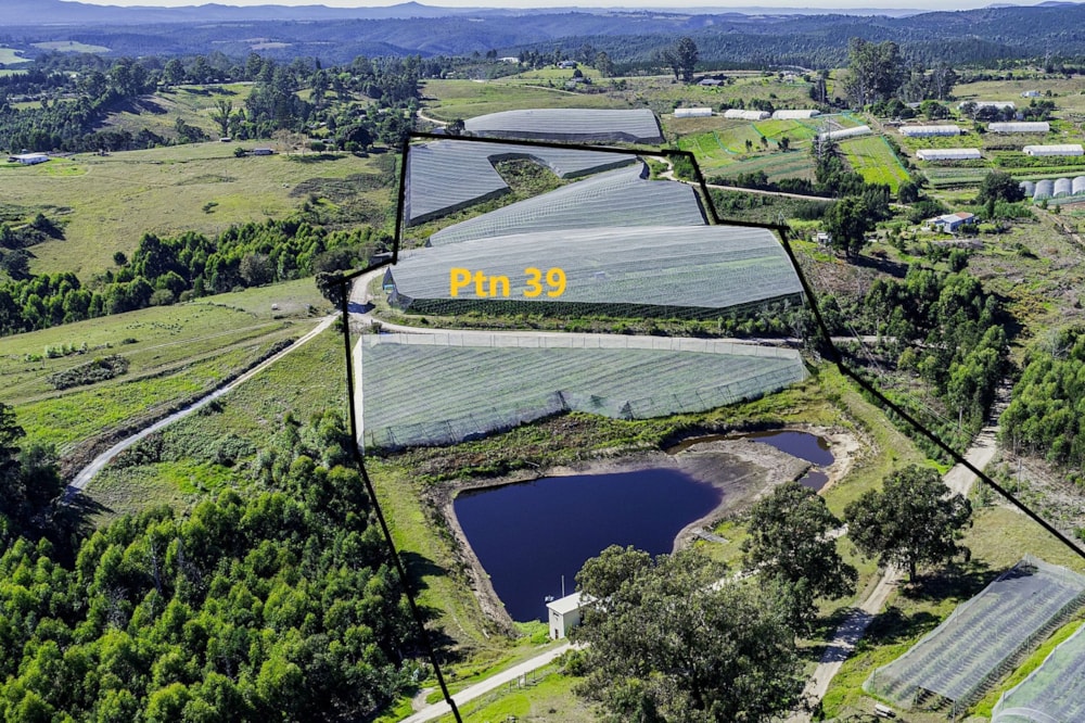 Irrigation farm for sale in Sedgefield Rural - 1SH1711025 Irrigation farm for sale in Sedgefield Rural - 1SH1711025