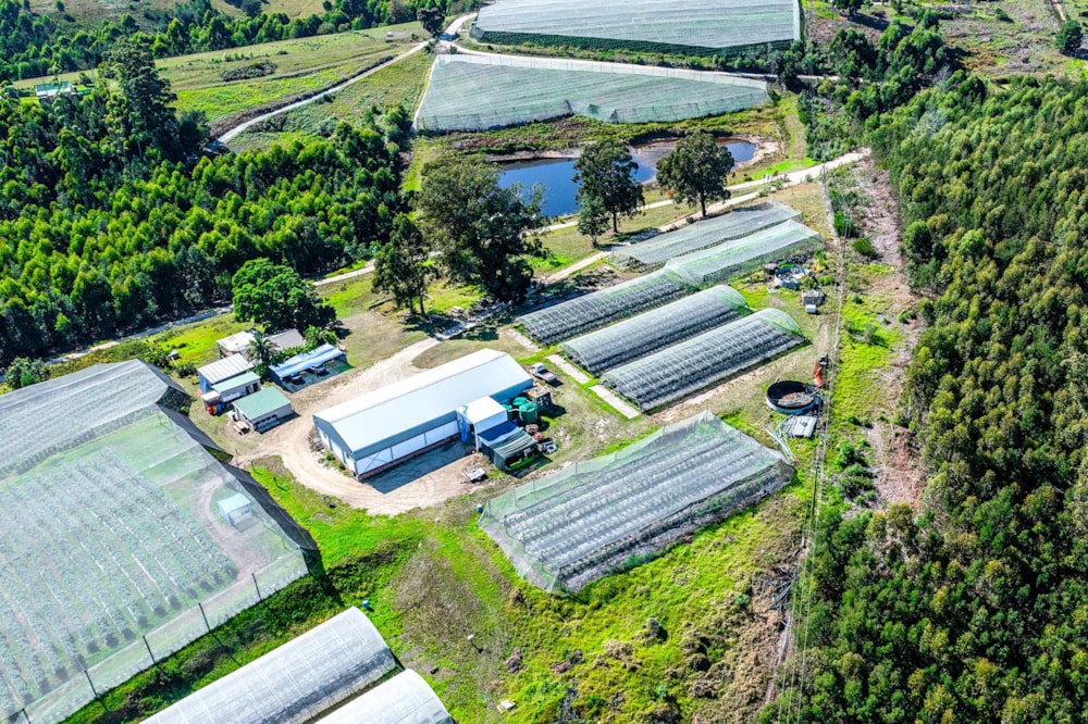 Irrigation farm for sale in Sedgefield Rural - 1SH1711025 Irrigation farm for sale in Sedgefield Rural - 1SH1711025