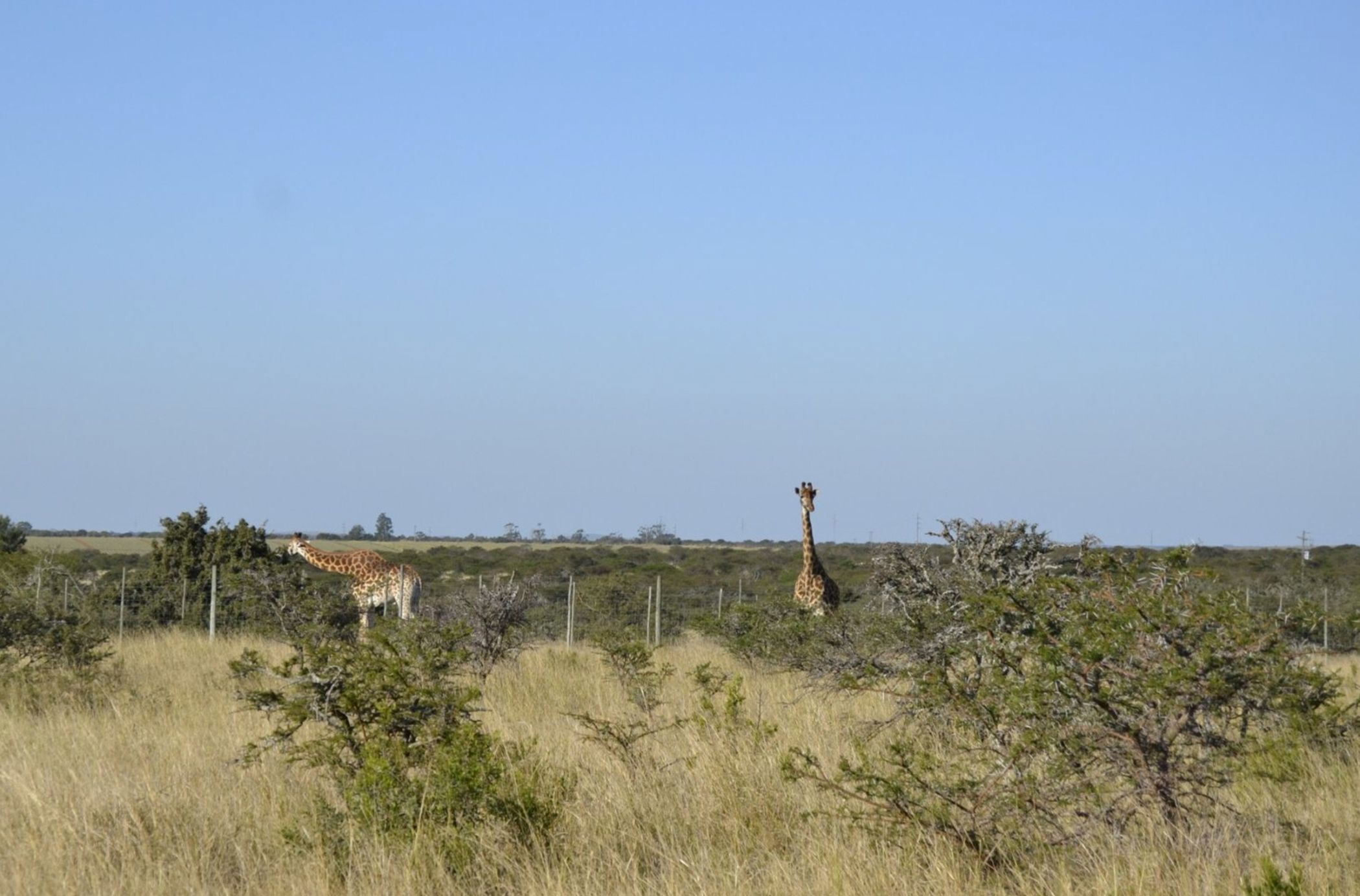 Vacant land for sale in Bathurst - 1PF1711049