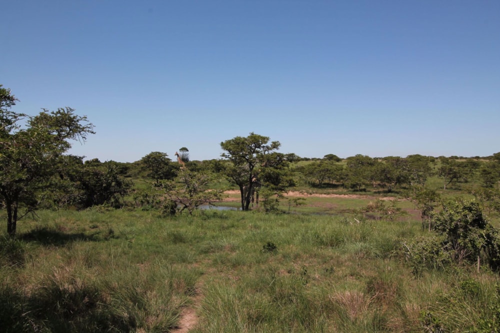 Vacant land for sale in Bathurst - 1PF1711049 Vacant land for sale in Bathurst - 1PF1711049