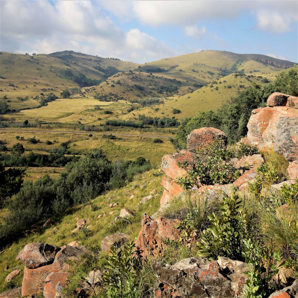 Commercial business for sale in Dullstroom - 1DS1711309 Commercial business for sale in Dullstroom - 1DS1711309