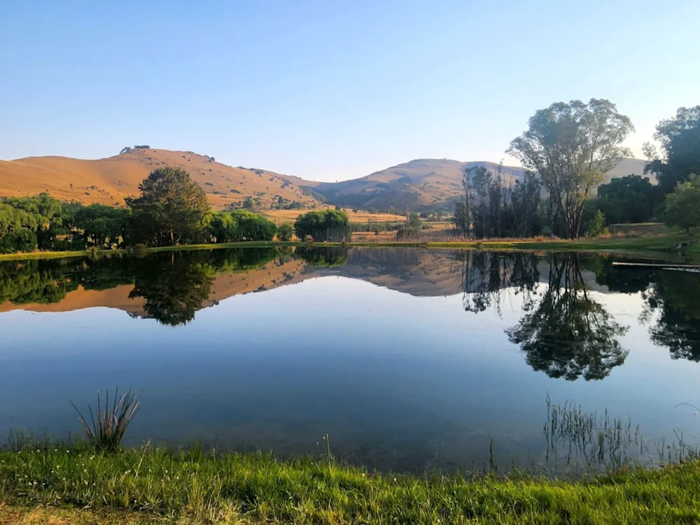 Commercial business for sale in Dullstroom - 1DS1711309 Commercial business for sale in Dullstroom - 1DS1711309