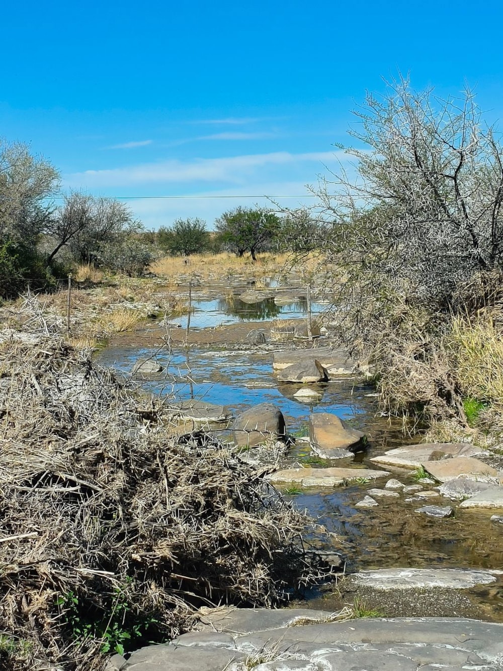 Livestock farm for sale in Beaufort West Rural - 1KK1711147