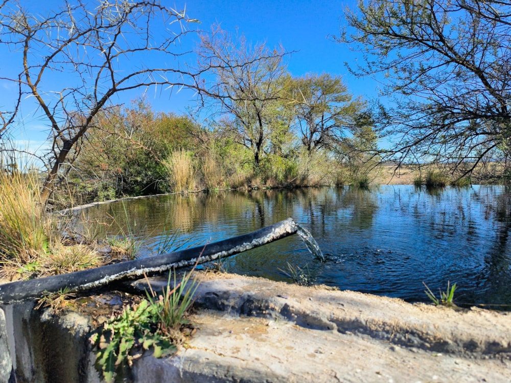 Livestock farm for sale in Beaufort West Rural - 1KK1711147