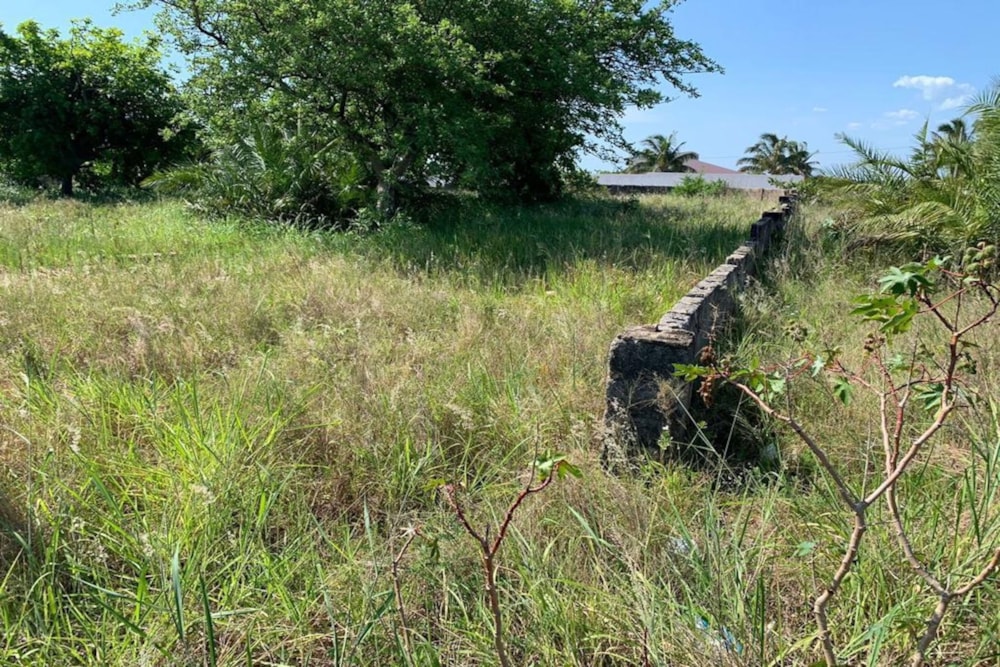 Vacant land for investment in Praia do Bilene, Gaza, Mozambique - 3MQ1711642 Vacant land for investment in Praia do Bilene, Gaza, Mozambique - 3MQ1711642