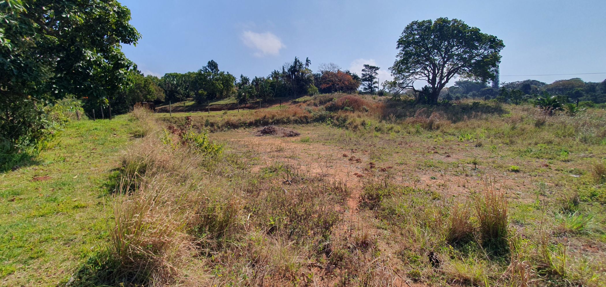 Residential vacant land for sale in Palm Beach - 1PD1711638