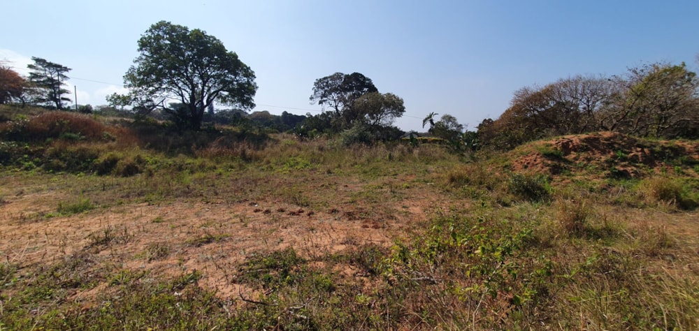 Residential vacant land for sale in Palm Beach - 1PD1711638 Residential vacant land for sale in Palm Beach - 1PD1711638