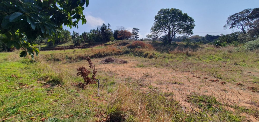 Residential vacant land for sale in Palm Beach - 1PD1711638 Residential vacant land for sale in Palm Beach - 1PD1711638