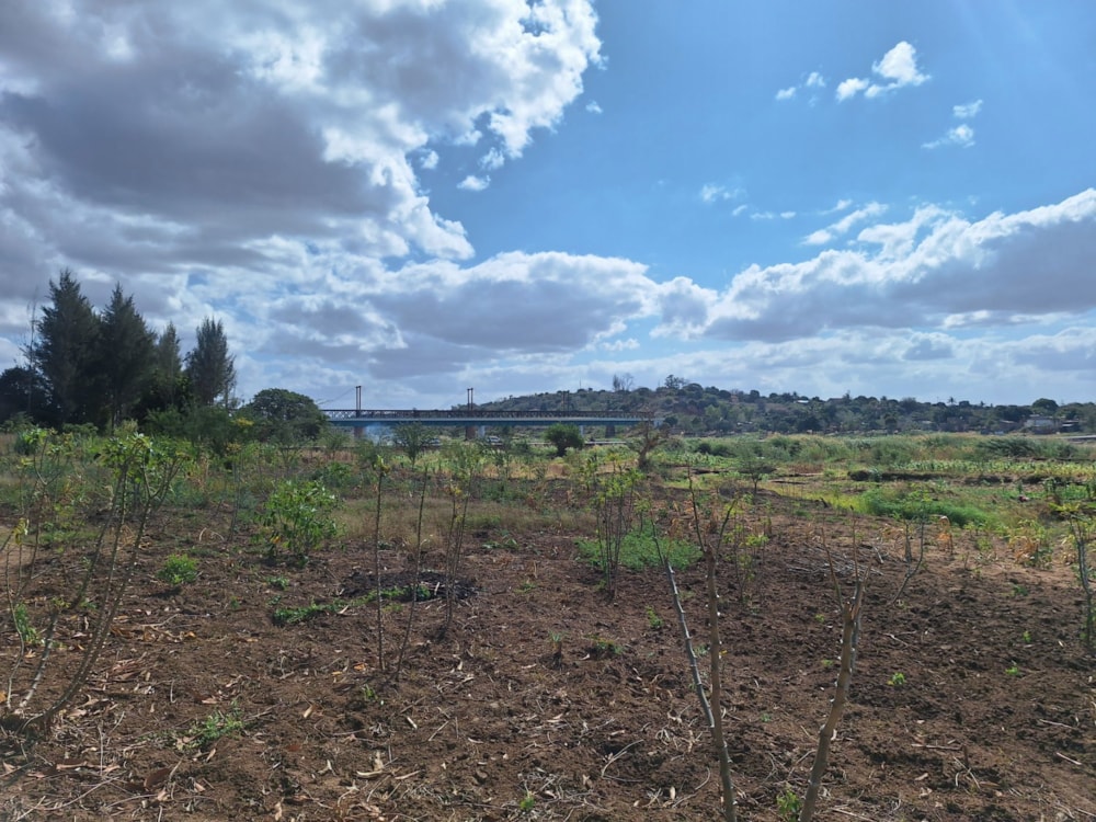 Farm vacant land for investment in Boane, Mozambique - 3MQ1715272 Farm vacant land for investment in Boane, Mozambique - 3MQ1715272