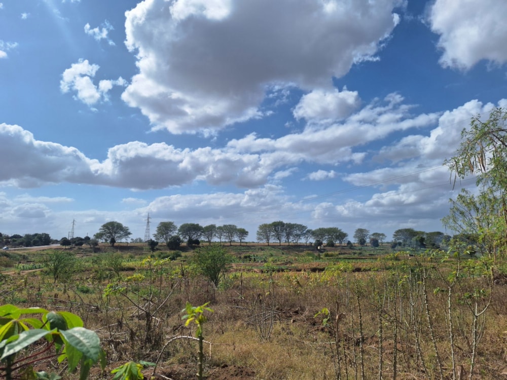 Farm vacant land for investment in Boane, Mozambique - 3MQ1715272