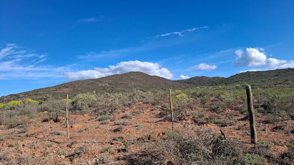 Farm vacant land for sale in McGregor - MG1712487 Farm vacant land for sale in McGregor - MG1712487