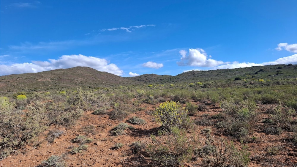 Farm vacant land for sale in McGregor - MG1712487 Farm vacant land for sale in McGregor - MG1712487