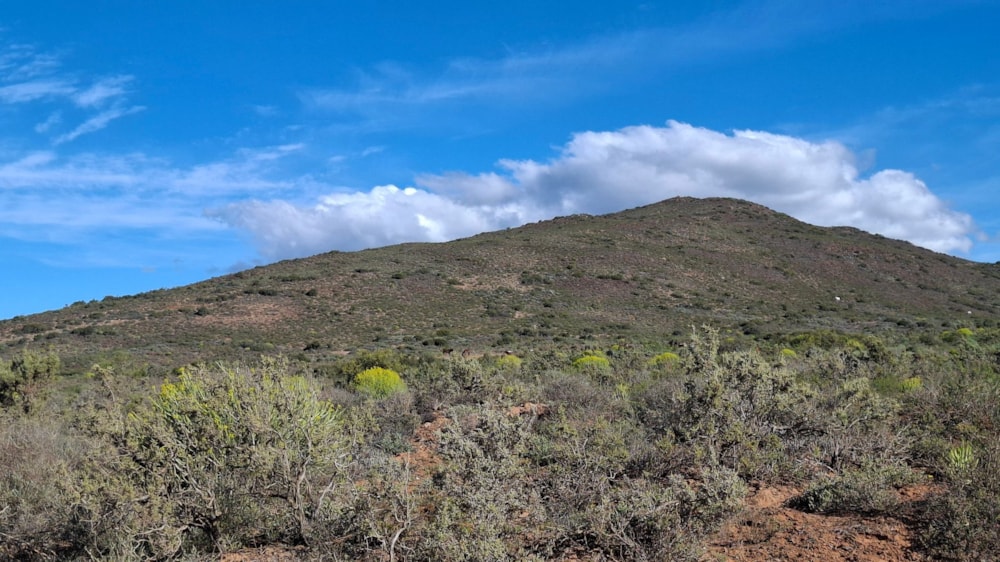 Farm vacant land for sale in McGregor - MG1712487 Farm vacant land for sale in McGregor - MG1712487