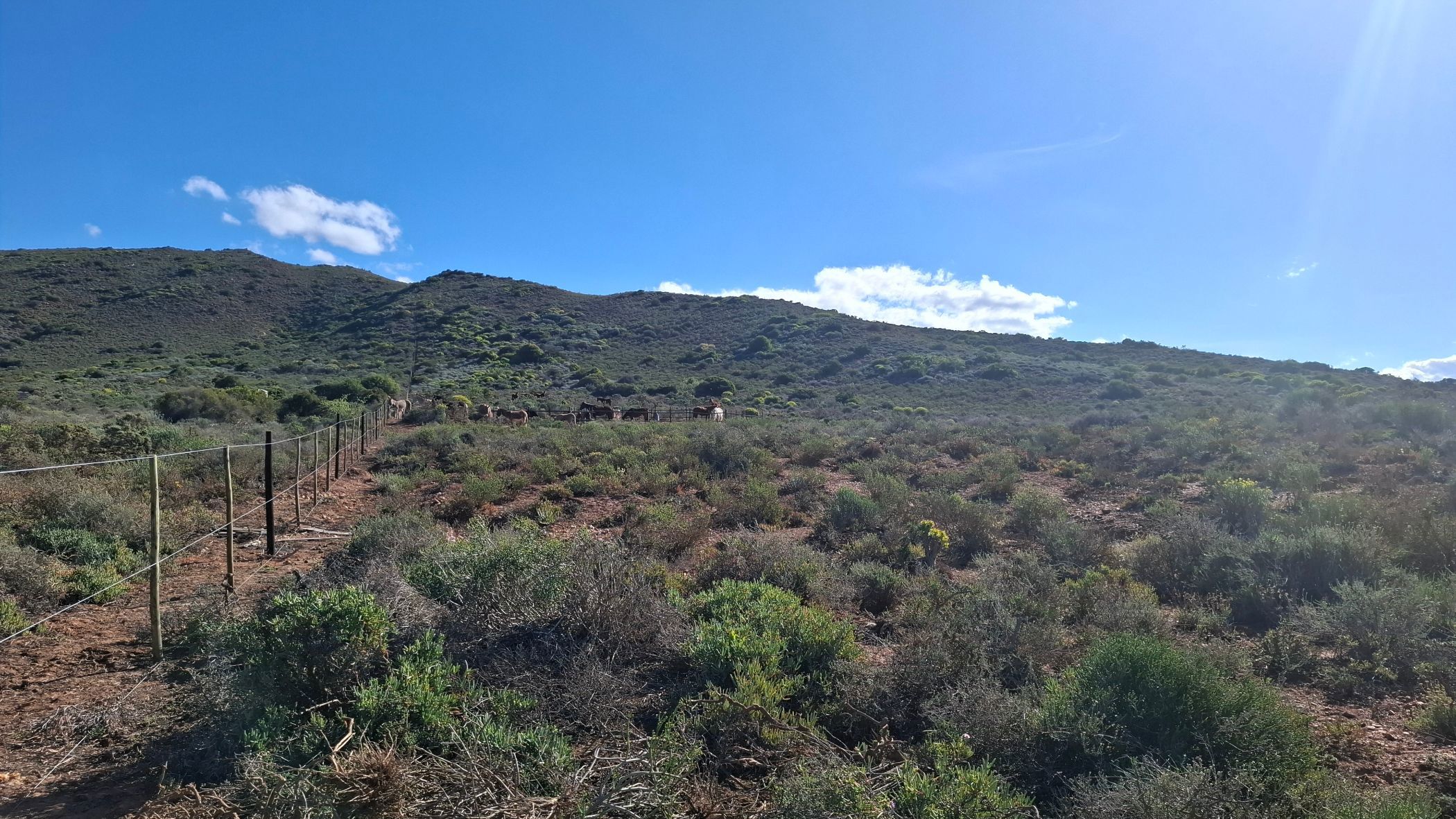 Farm vacant land for sale in McGregor - MG1712487