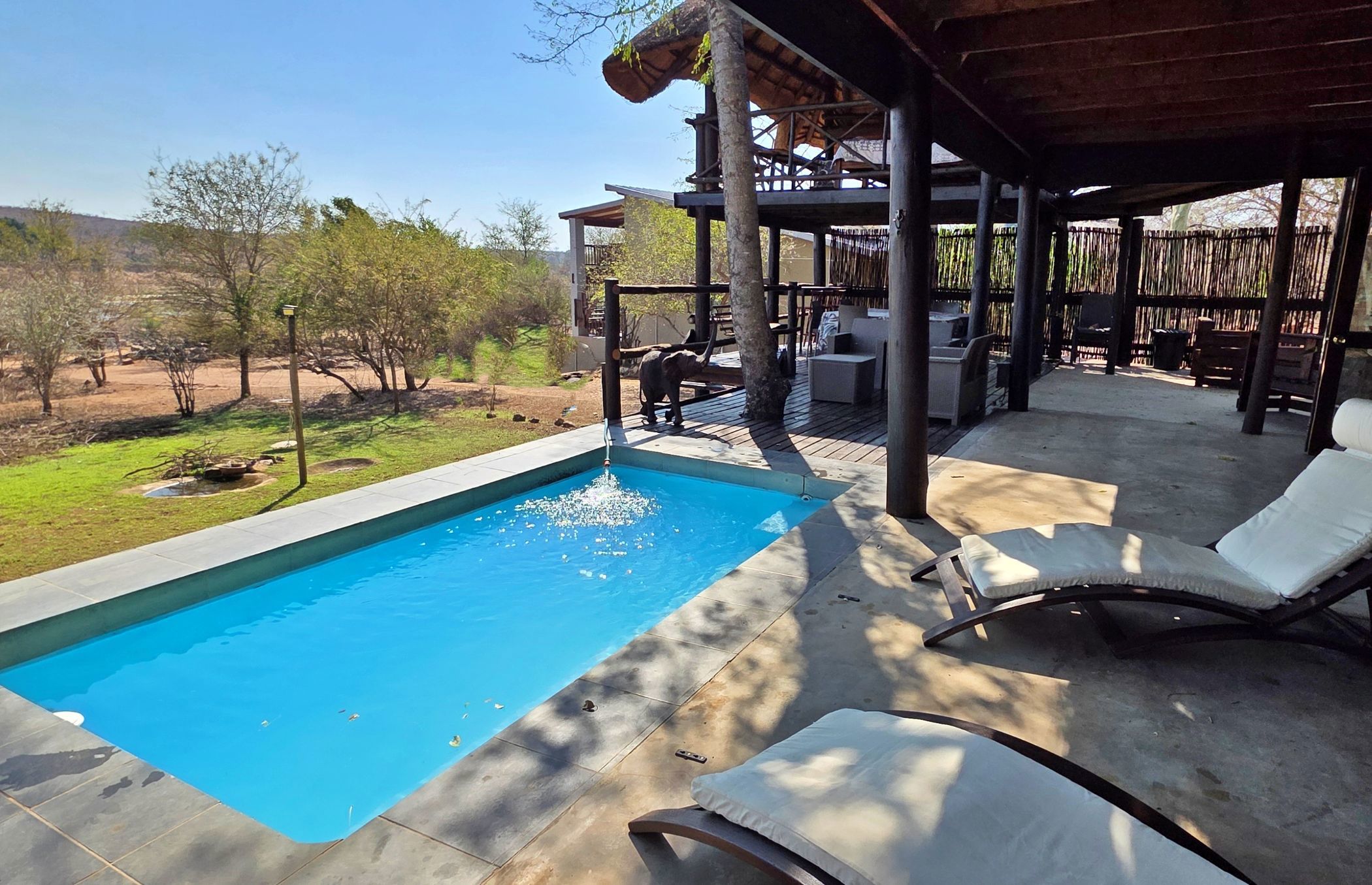 House to rent in Marloth Park - 1NK1712169