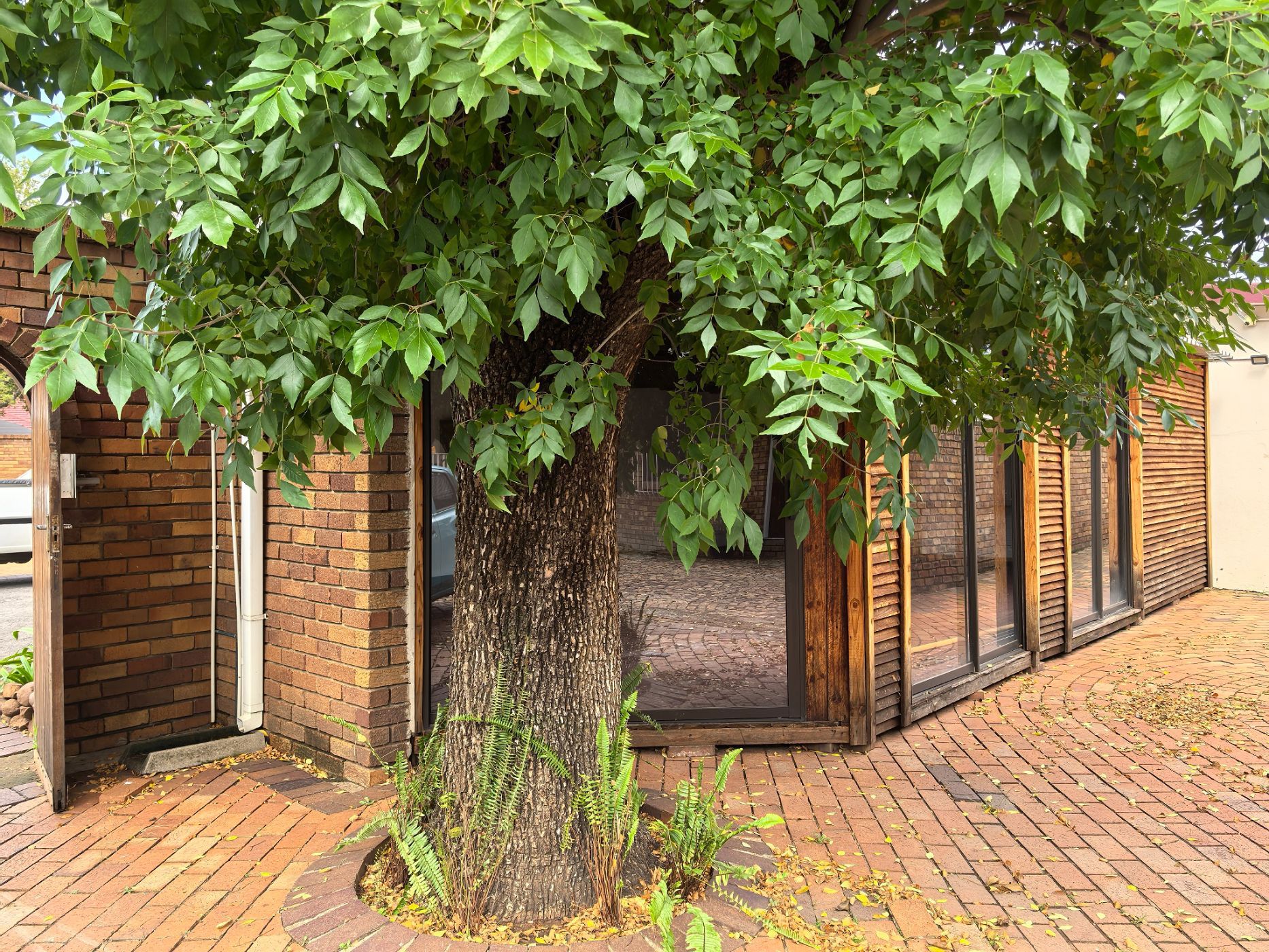 Commercial business to rent in Selcourt - 1SP1712424