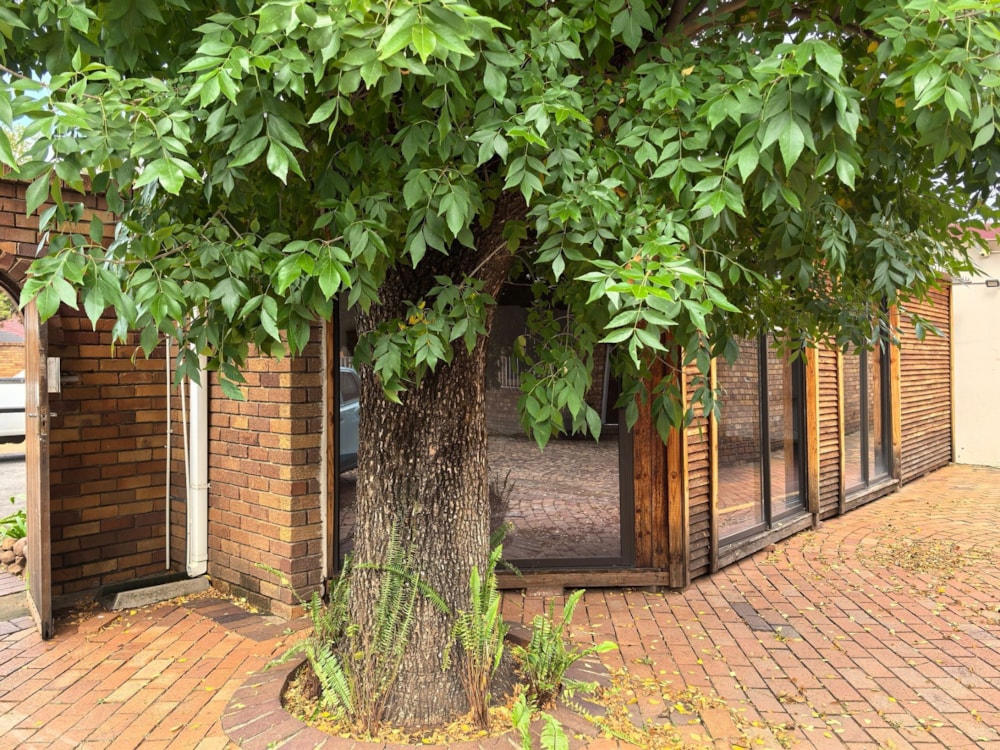 Commercial business to rent in Selcourt - 1SP1712424 Commercial business to rent in Selcourt - 1SP1712424