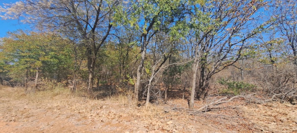 Vacant land for sale in Phalaborwa - 1PW1712455