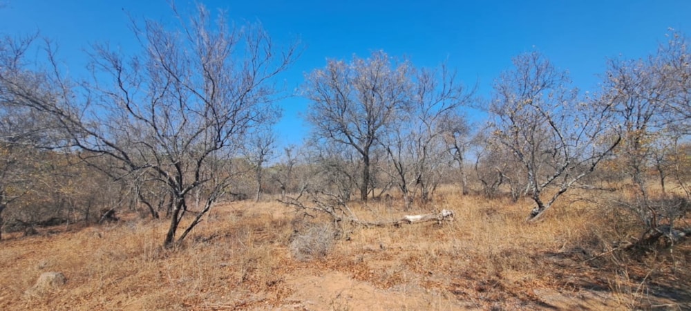Vacant land for sale in Phalaborwa - 1PW1712455